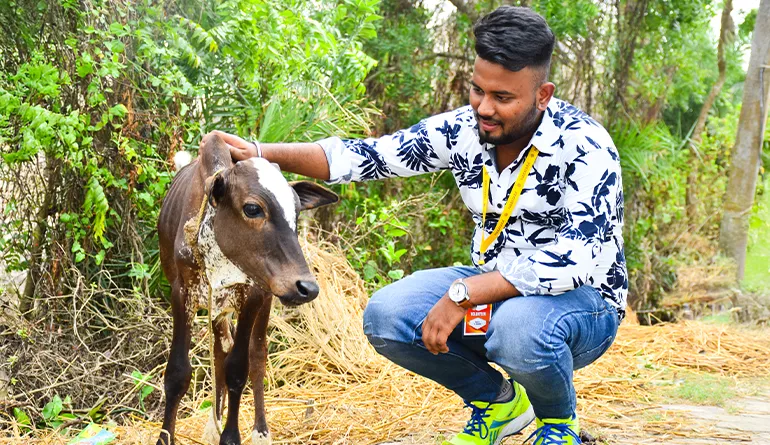 Protecting Animal Lives